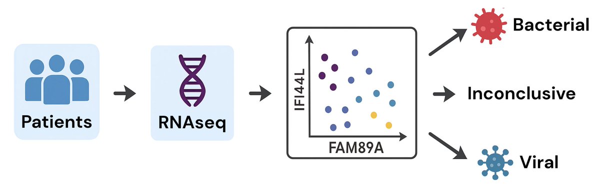JackHadfield14's tweet photo. 🔬We identified five preliminary immune clusters (C1–C5) in our Long COVID & ME/CFS cohort using two RNA markers: IFI44L and FAM89A. 

Research shows these genes can help distinguish bacterial from viral infections. 

Let’s break down which clusters likely fall into each category.