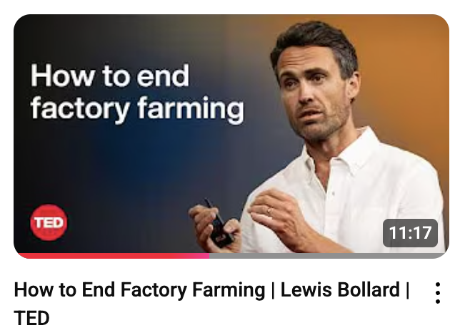 Lewis_Bollard's tweet photo. My TED talk on factory farming just dropped on YouTube.

The talk is about to hit 250K views on @TEDTalks. Hoping we can pull back the curtain on factory farming to even more people on YouTube. https://t.co/os7cCgYJdK