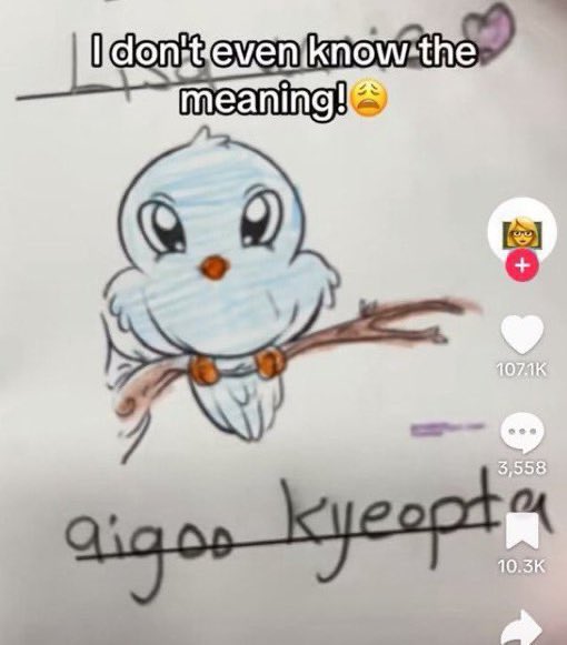 nao 𐀔 (@sunoovortex) on Twitter photo 