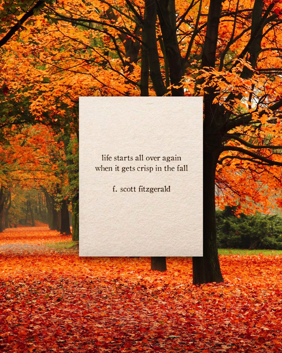 Happy First Day of Fall! 🍁 Change brings fresh beginnings. At RoundTable Technology, we embrace change and the shifting tech landscape so nonprofits can move forward with confidence and create lasting impact.