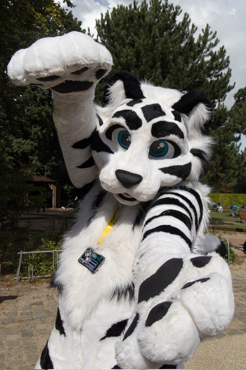 Aphinic Tiger 🇩🇪🇪🇺 tweet media