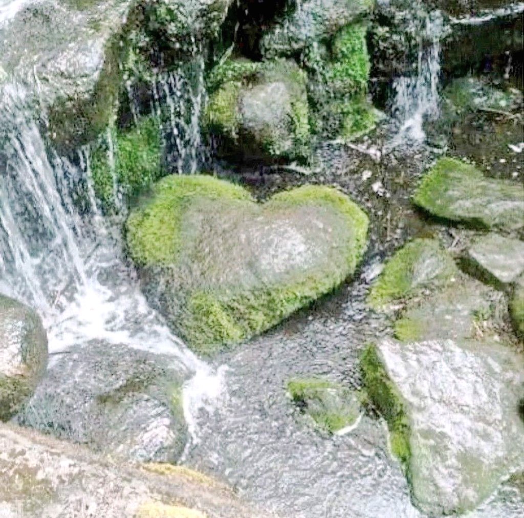 web4 loves you ⋆˙⟡♡