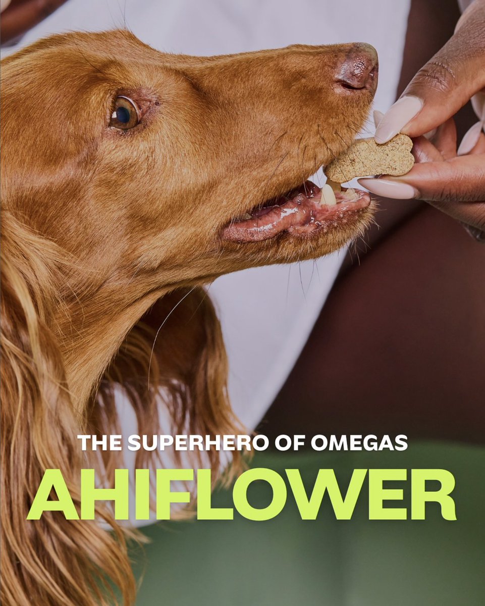 Omnibus-Type tweet media