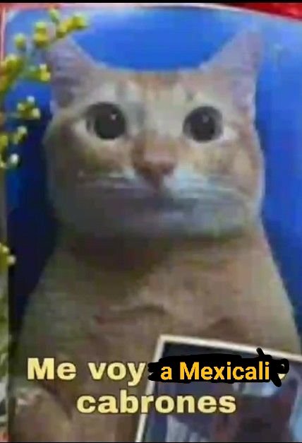 Hola chamacos, quería avisar sobre el aviso que avisaré
Me ire dos semanas a Mexicali y no me puedo llevar la pc, aún que no son vacaciones; andaré chambeando en una feria durante estos días.
Y yap, no hay mucho mas, puede que en el aviso que de en discord de más detalles
Los Tqm