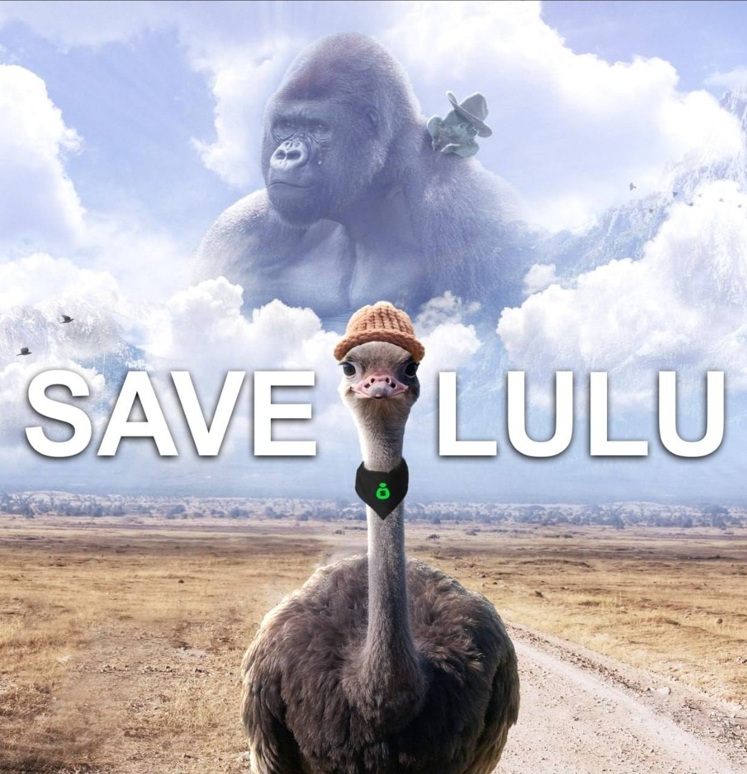 mynameisjeff tweet media