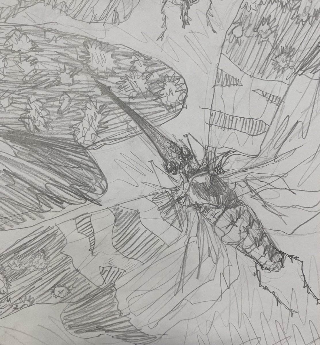 dept_art's tweet photo. 🎨S3&S4 Pupils have been developing their tonal drawing skills this month🎨
#skillsdevelopment #drawingblock https://t.co/5pdZK5Vayp