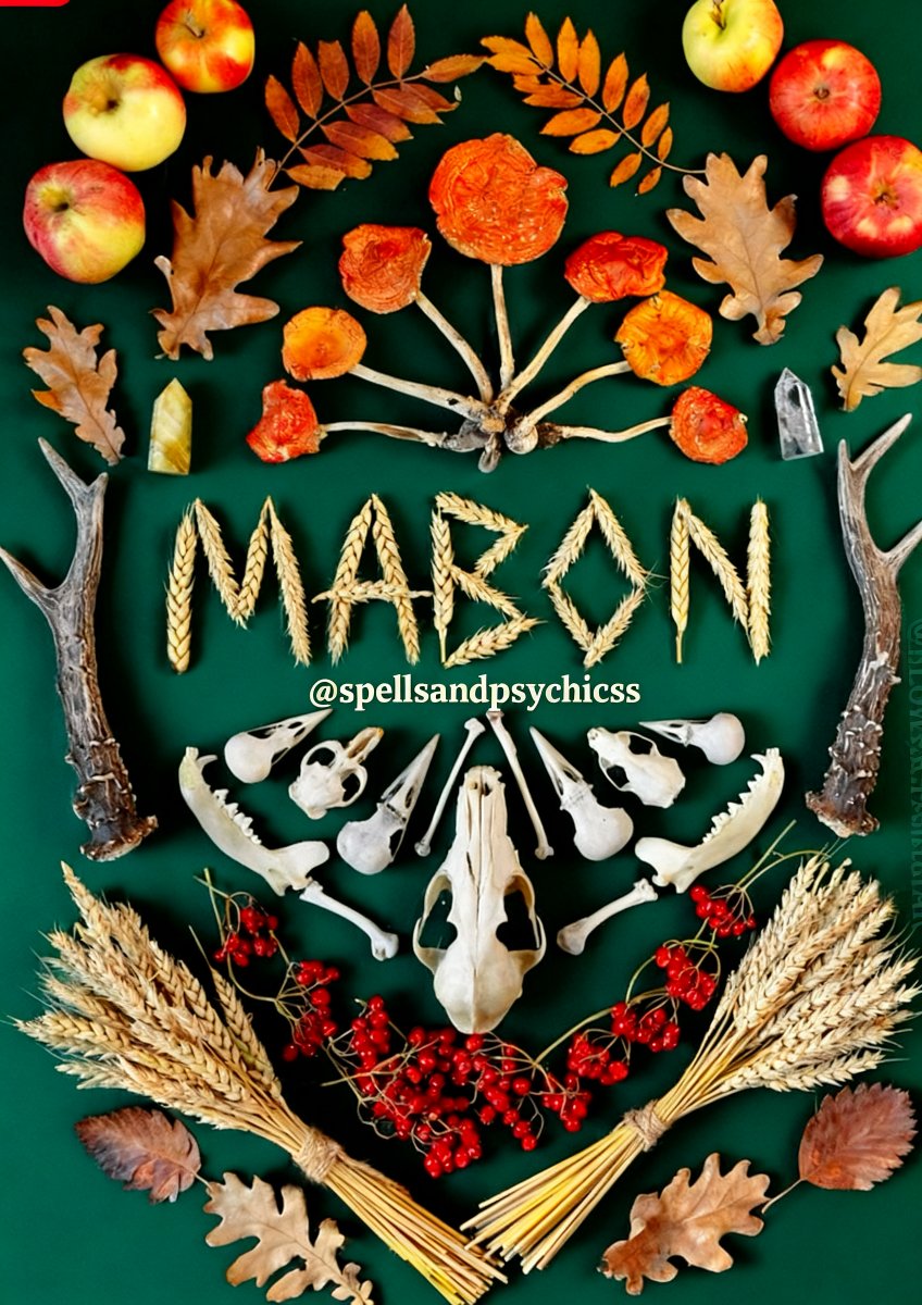 Spells and Psychics - Love Spell Caster (@spellsandpsychi) on Twitter photo ๐โจ Mabon โ Autumn Equinox โจ๐
Day & night stand equal. ๐
A time of balance, gratitude, & renewal.
๐ฟ Harvest blessings
๐ฅ Honor ancestors
๐ Prepare for the darker months ahead
๐ฎ #Mabon #AutumnEquinox #witchcraft ๐โจ Mabon โ Autumn Equinox โจ๐
Day & night stand equal. ๐
A time of balance, gratitude, & renewal.
๐ฟ Harvest blessings
๐ฅ Honor ancestors
๐ Prepare for the darker months ahead
๐ฎ #Mabon #AutumnEquinox #witchcraft