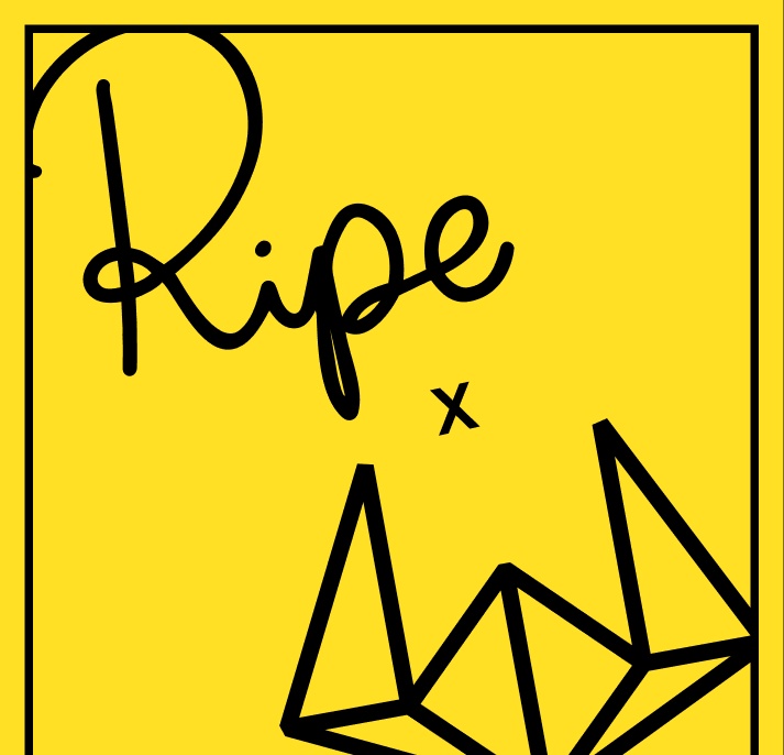 ZssVAl's tweet photo. So @ripe_dao is a Defi protocol designed to defeat fragmented liquid by creating unified collateral, basically it lets users unlock values from any asset crypto native or real world. The motto is one loan against your portfolio including RWA and NFTs https://t.co/tN58Jtlyvl
