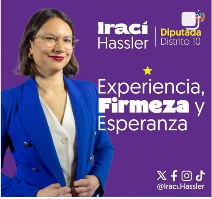 Iraci Hassler diputada