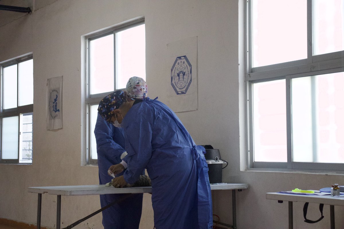 🐾 Así iniciamos la jornada de esterilizaciones para nuestras mascotas.

🙏 Agradecemos a todas y todos los que se registraron, ya que el cupo se encuentra lleno. #SanLuisAmable
Enrique Galindo Ceballos <a href="/EF_Galindo/">Enrique Galindo C</a>