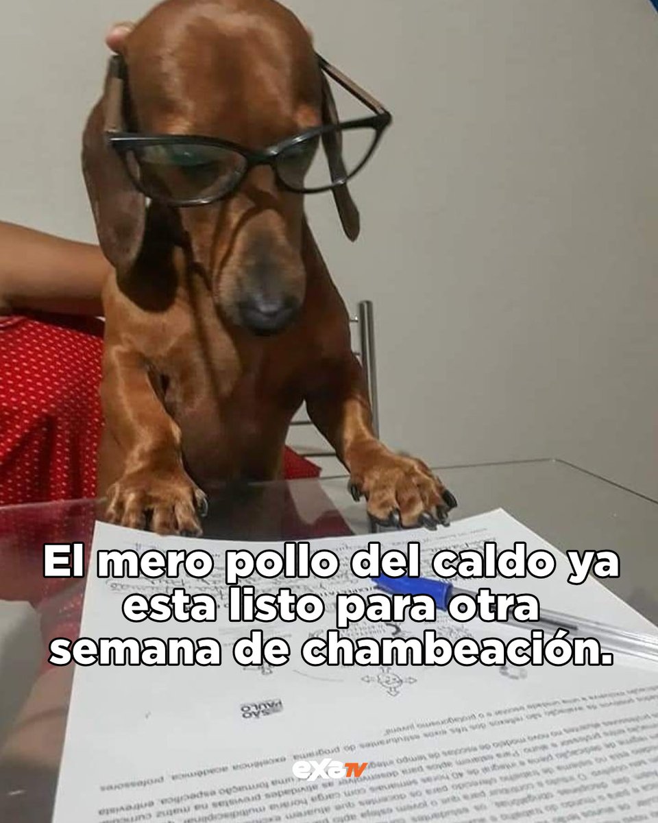 Me parecen más castrosos los que se identifican con el Joker que con Parker  porque los pendej0s quieren romantizar la villanía - Meme by Ultimemematrix  :) Memedroid, image size:960x1200