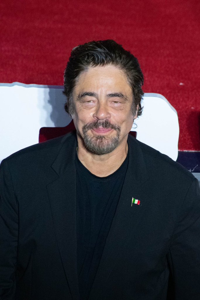 Benicio del toro 🇵🇸 (@1967wolfman) on Twitter photo 