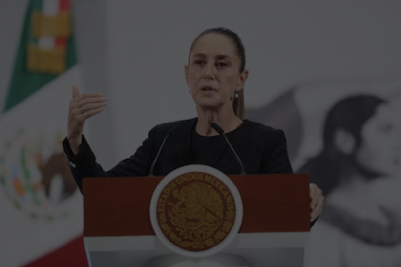 José Mario tweet media