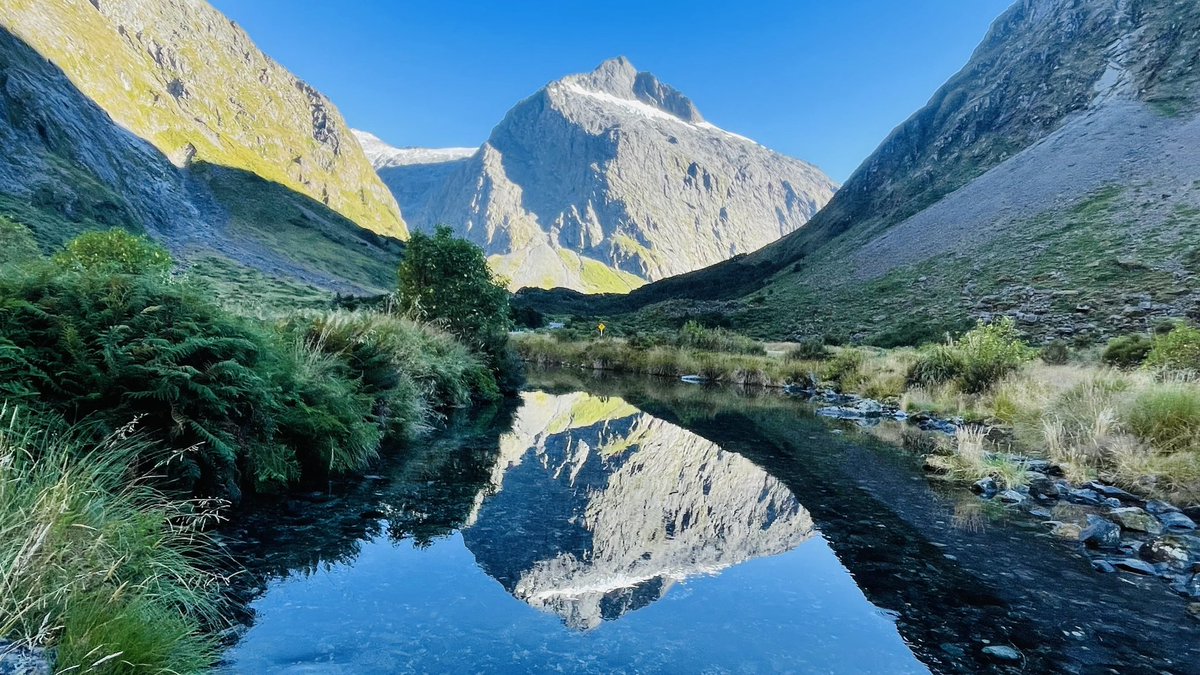 Phil Dufty tweet media