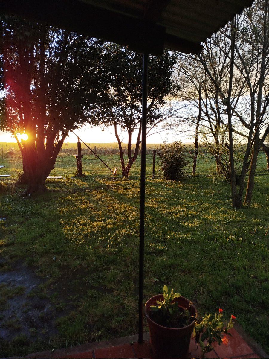 InciarteRocio's tweet photo. 🌞🌧️🥰 https://t.co/A0jsqwP482