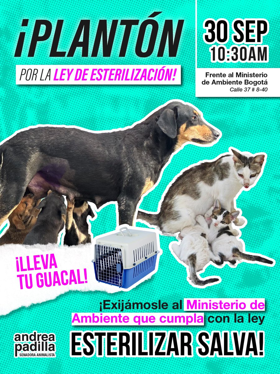 Mientras funcionarios de pacotilla del
<a href="/MinAmbienteCo/">MinAmbiente Colombia</a> inventan excusas y hacen maniobras burocráticas para no reglamentar la ley #EsterilizarSalva, cientos de gatos y perros sin hogar nacen todos los días ¡Ya son más de 3 millones! 💔🐈‍⬛🐕

¡Huelga de guacales frente al