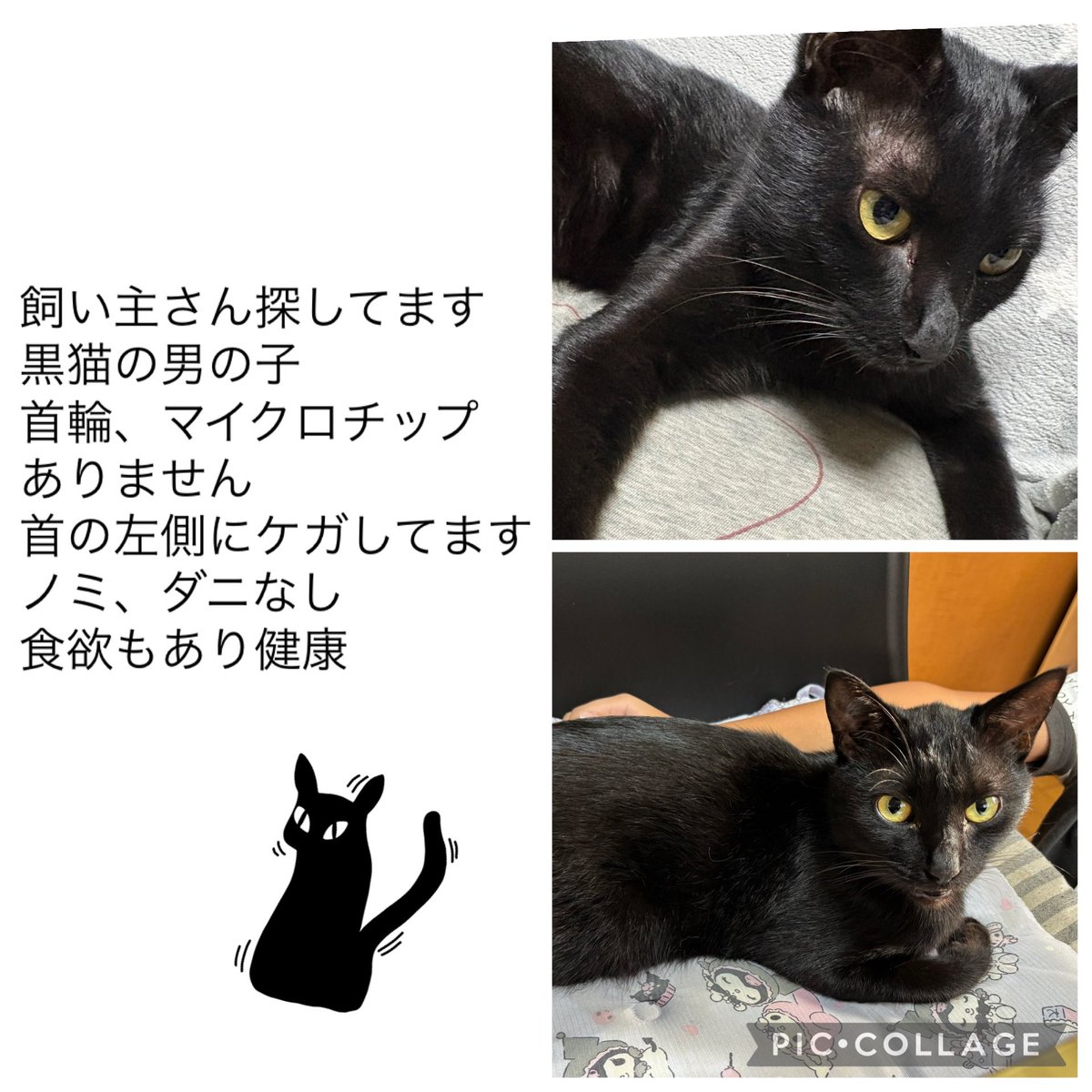 黒猫 yukito178 on X