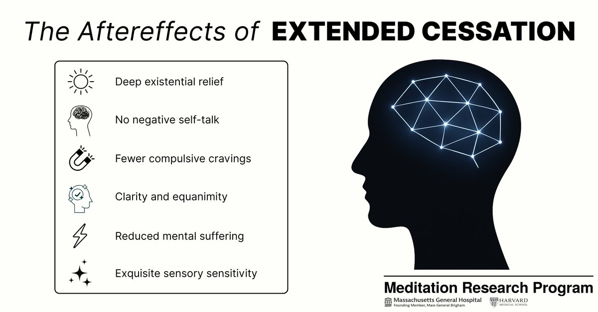 Advanced meditation ushers in incredible new possibilities for the science of consciousness.

In the first-ever fMRI study of Extended Cessation (EC), for which we’ve just released the preprint, my colleagues and I examine this advanced meditative event—where consciousness is