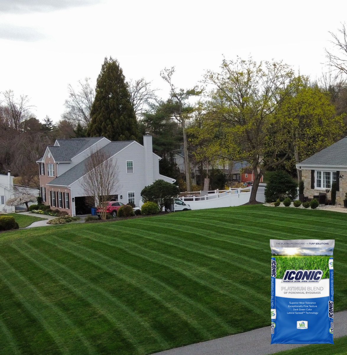 Fresh season, fresh seed. Fall is the time to overseed. 🌱

#OverseedSeason #Turfgrass #FallSeeding #ICONIC #webelieveinbetter