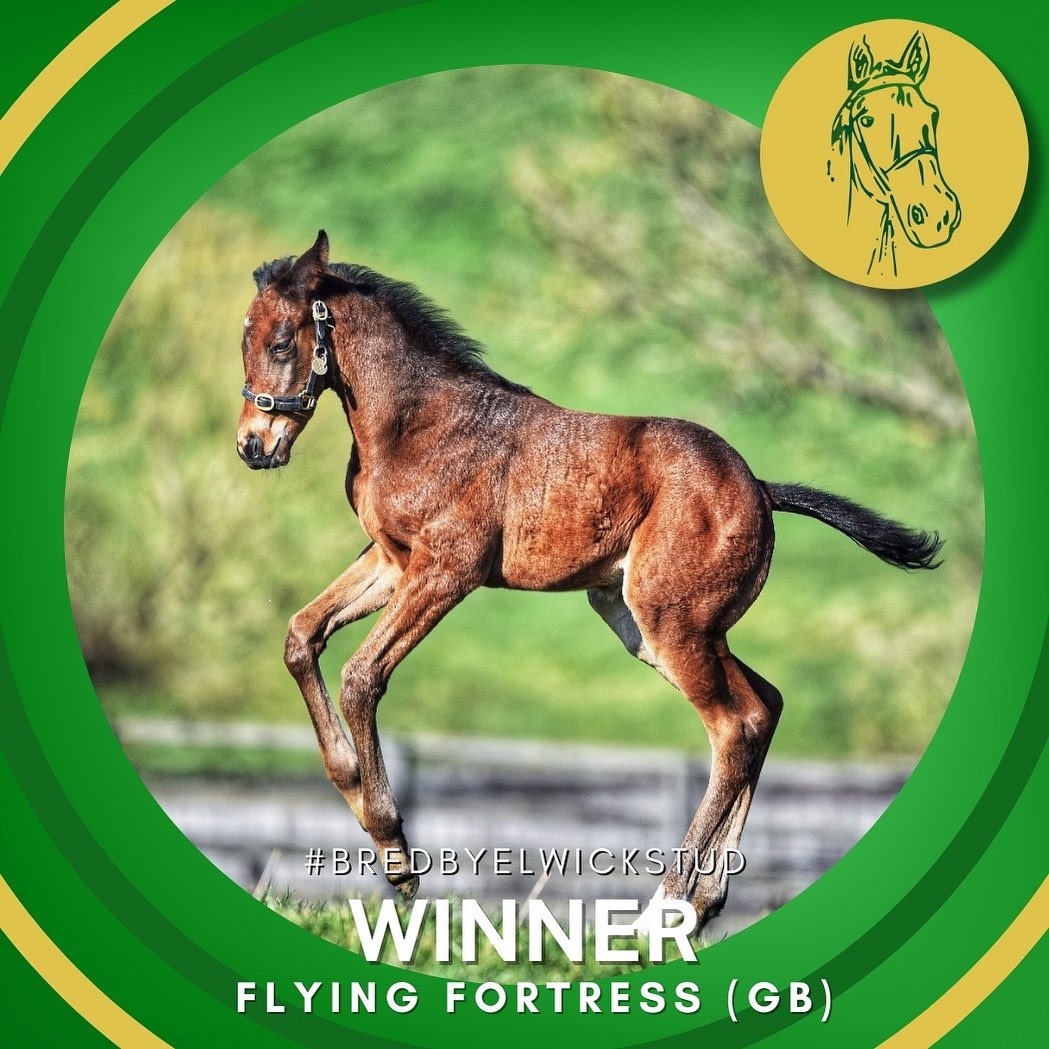 Elwick Stud tweet media