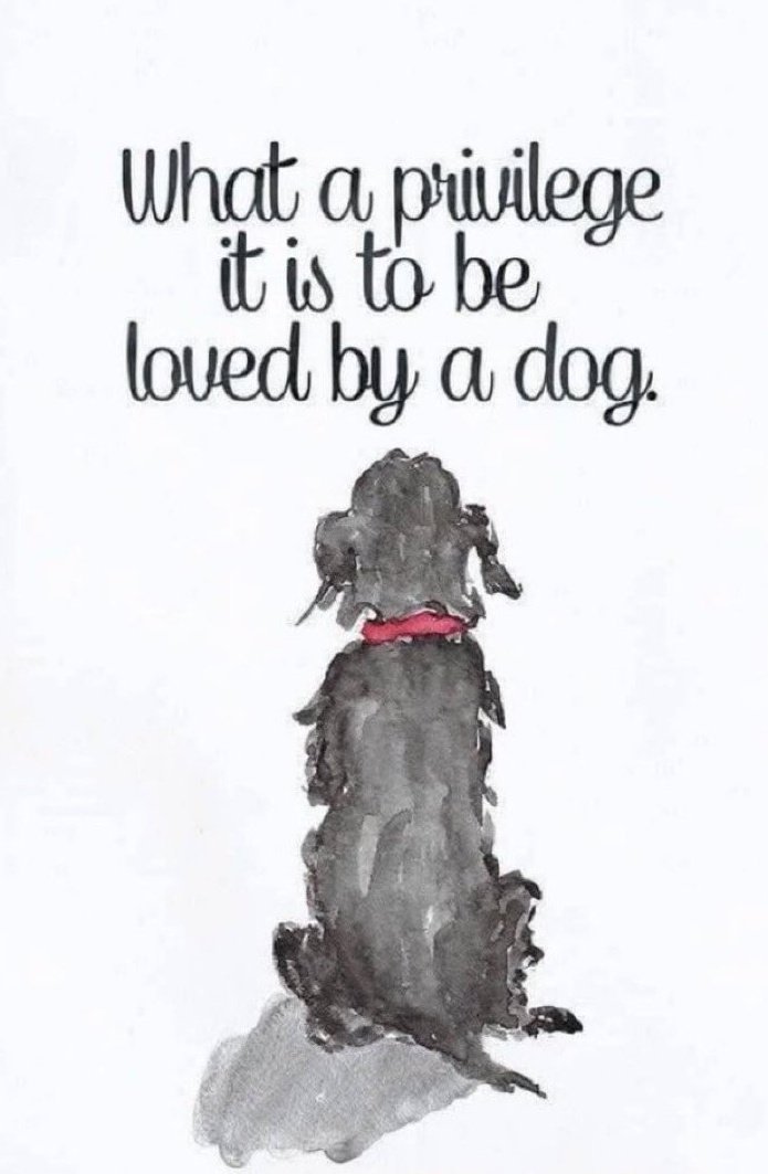 <a href="/DogLovers03/">Dog Lovers</a> My dogs have always been considered as a member of our family.