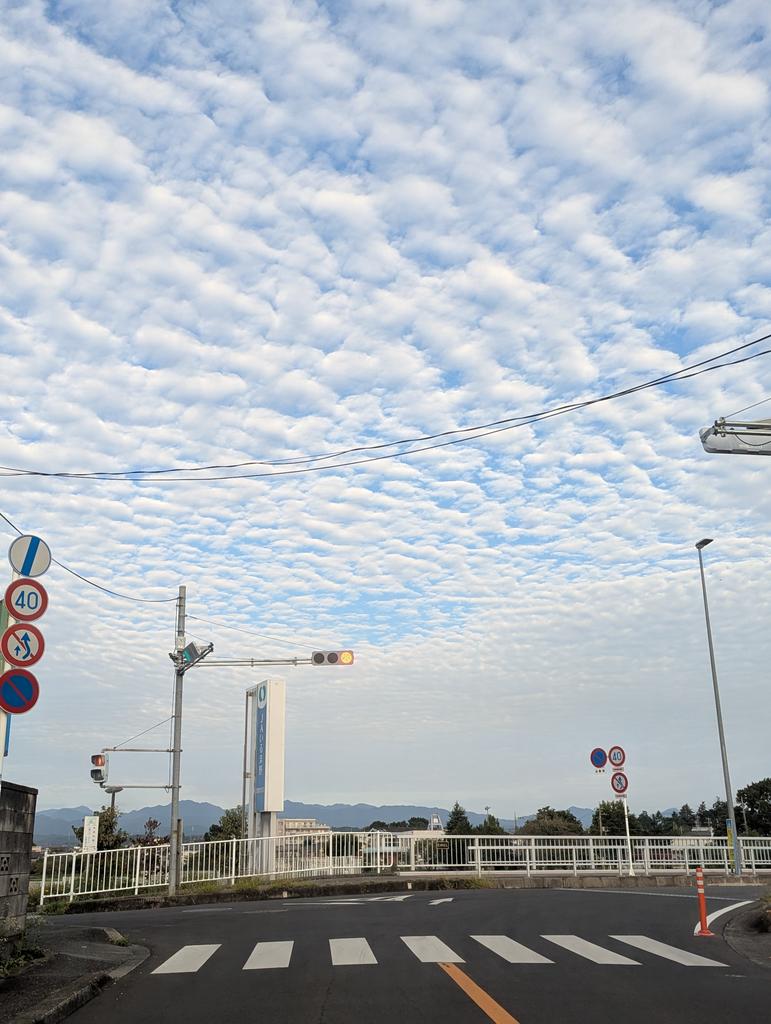秋！いつまでも暑いと思っていたけど秋は着実に来てる!