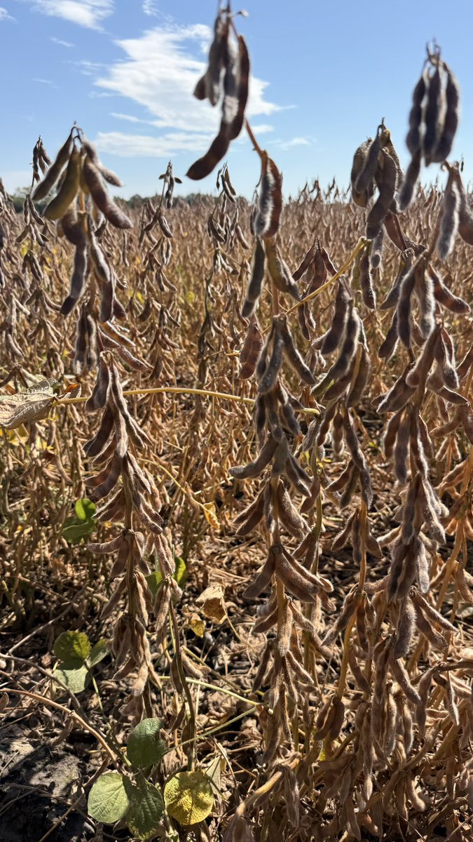 Mike Wardyn tweet media