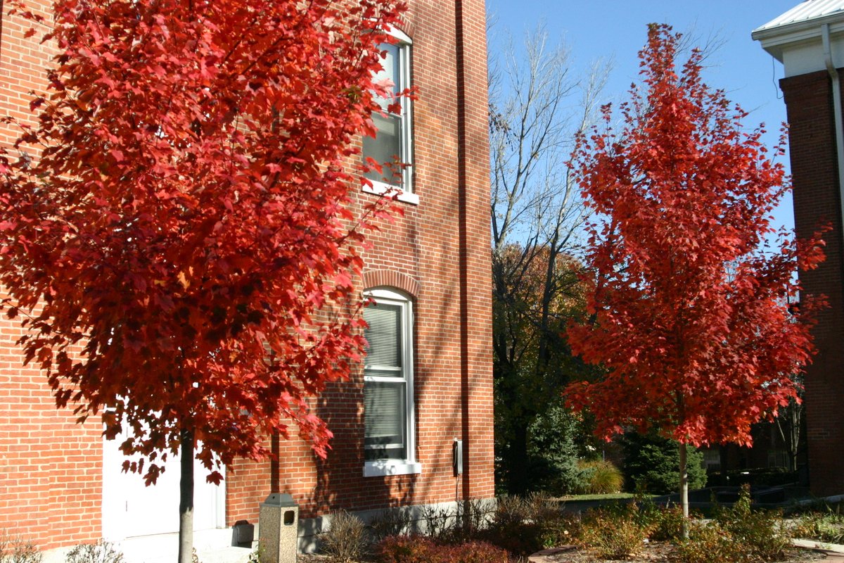 𝒊𝒕'𝒔 𝒇𝒂𝒍𝒍, 𝒚'𝒂𝒍𝒍

There's no place quite like McKendree when the leaves begin to change, the air turns chilly, and campus truly comes to life!