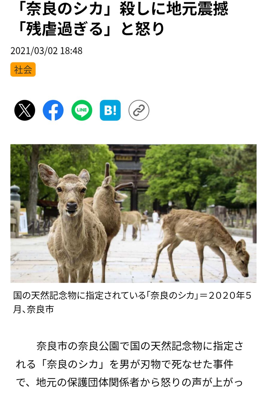 柴田淳🍚6年ぶりバンド編成3都市LIVE Tour決定