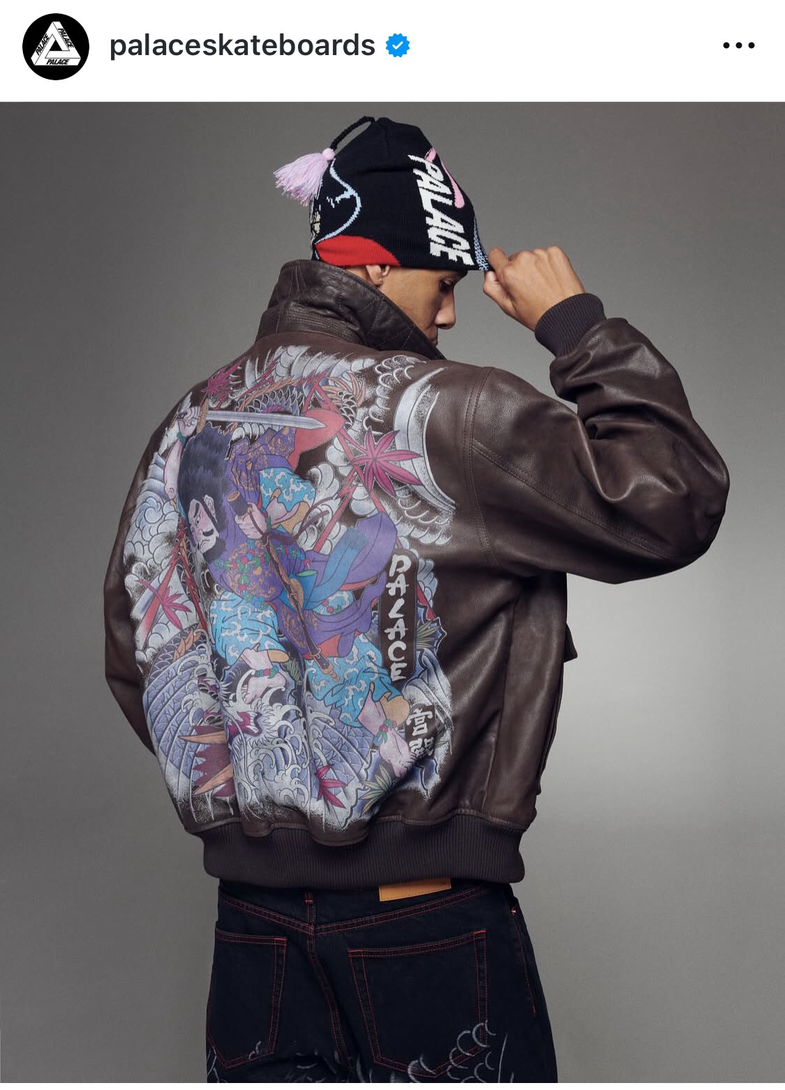 PALACE bossy canvas jacket grey