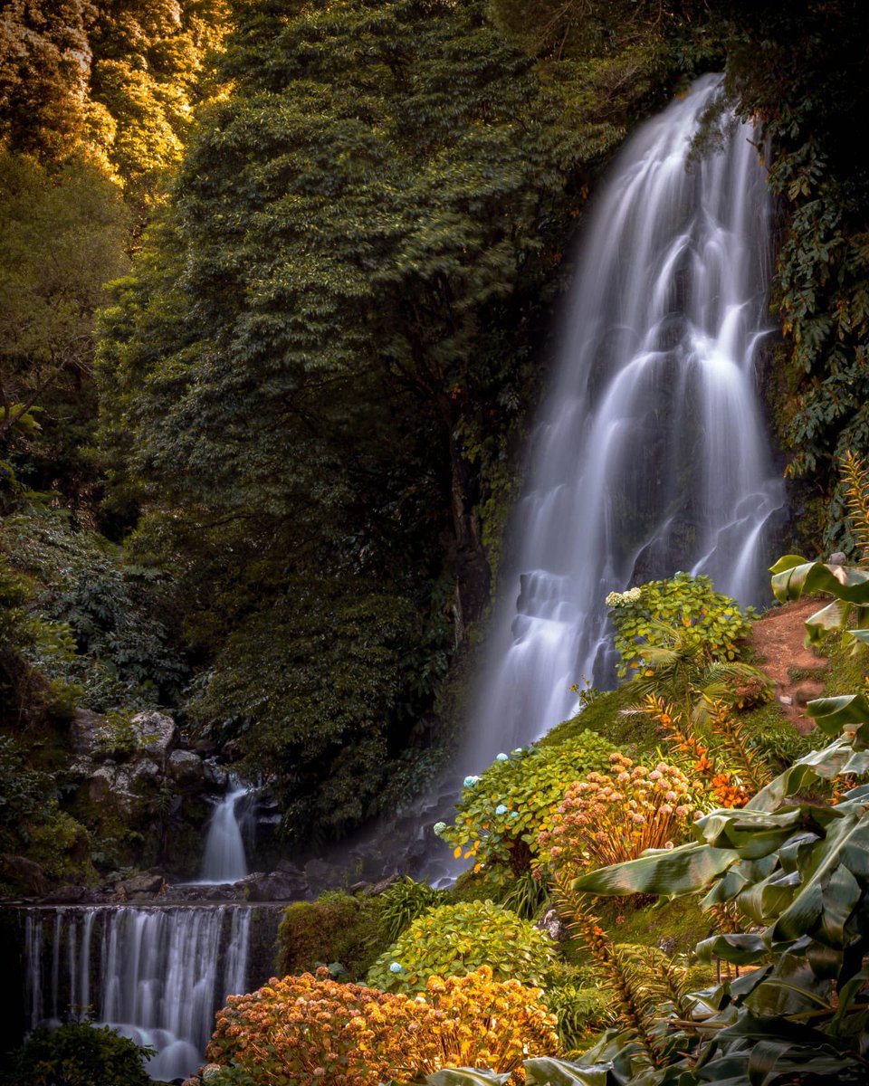 "Nature does not hurry,. yet everything is accomplished:"

- Laozi