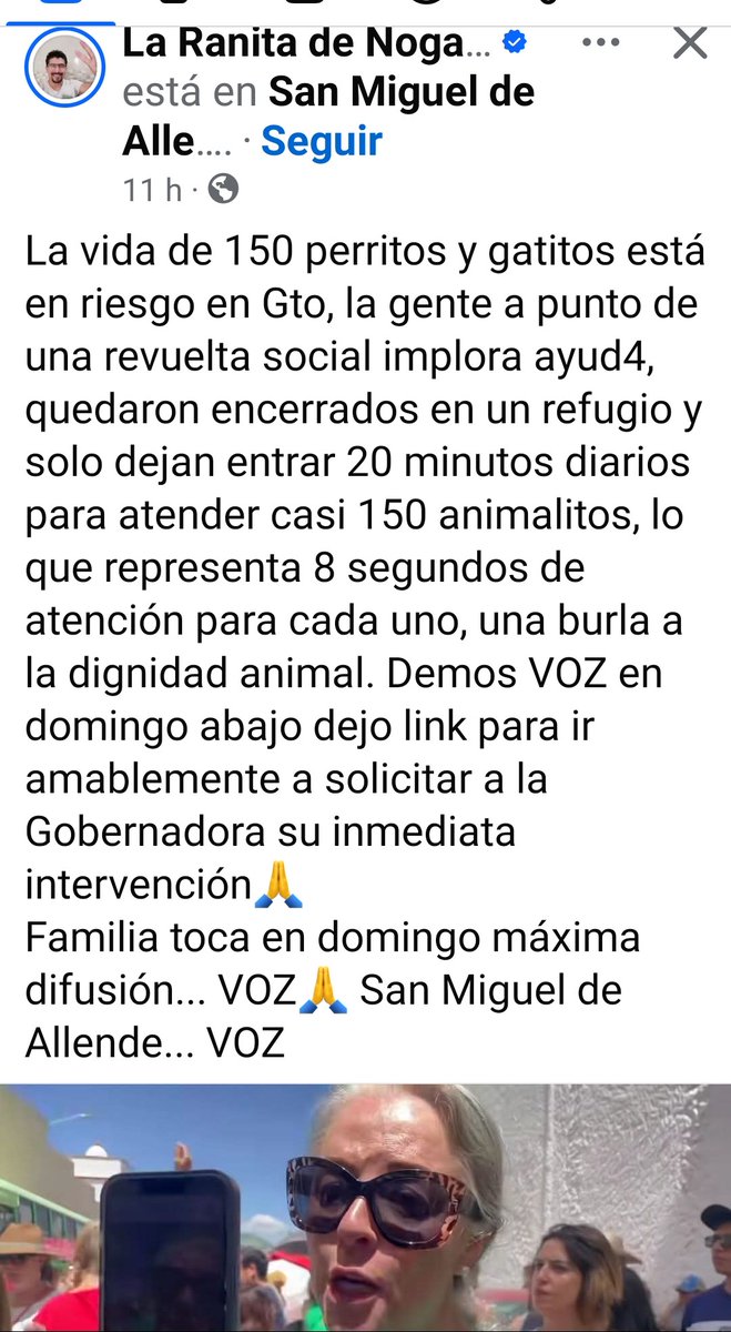juditespadi's tweet photo. Que mal estamos como sociedad.
Si ni la vida de los humanos les interesa , menos les importa la vida de estos seres indefensos. 

#Edomex
Polanco
#Mexico #Guanajuato https://t.co/gBeFyCQ26F