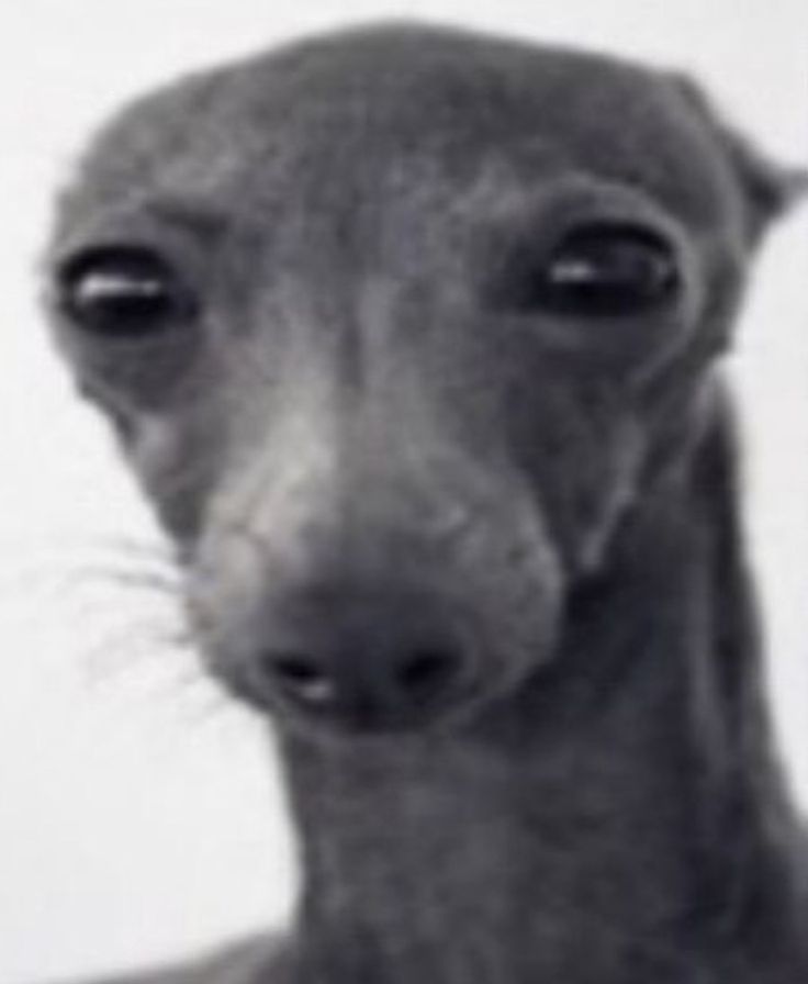 Ustedes que harian entre tener que escoger en dejarle de hablar a su mejor amigo que las ha acompañado en todo y lo conocieron antes las quiere y da plata o estar con el hombre que llevan amando y anhelando una relación hace 2años y también les da muchas cosas y esta cambiando?