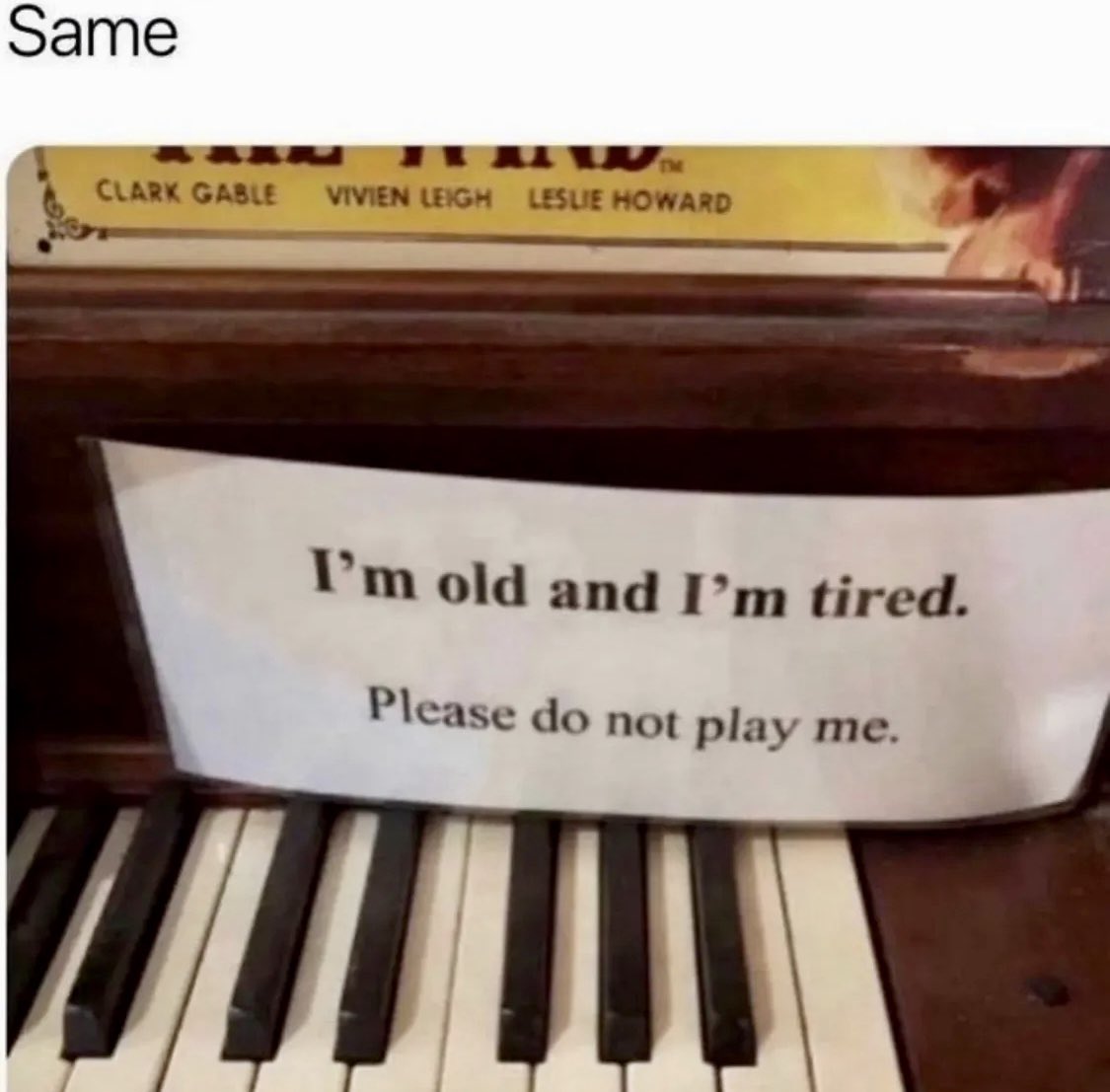 Paul ‘DaddyBird’ Castle tweet media