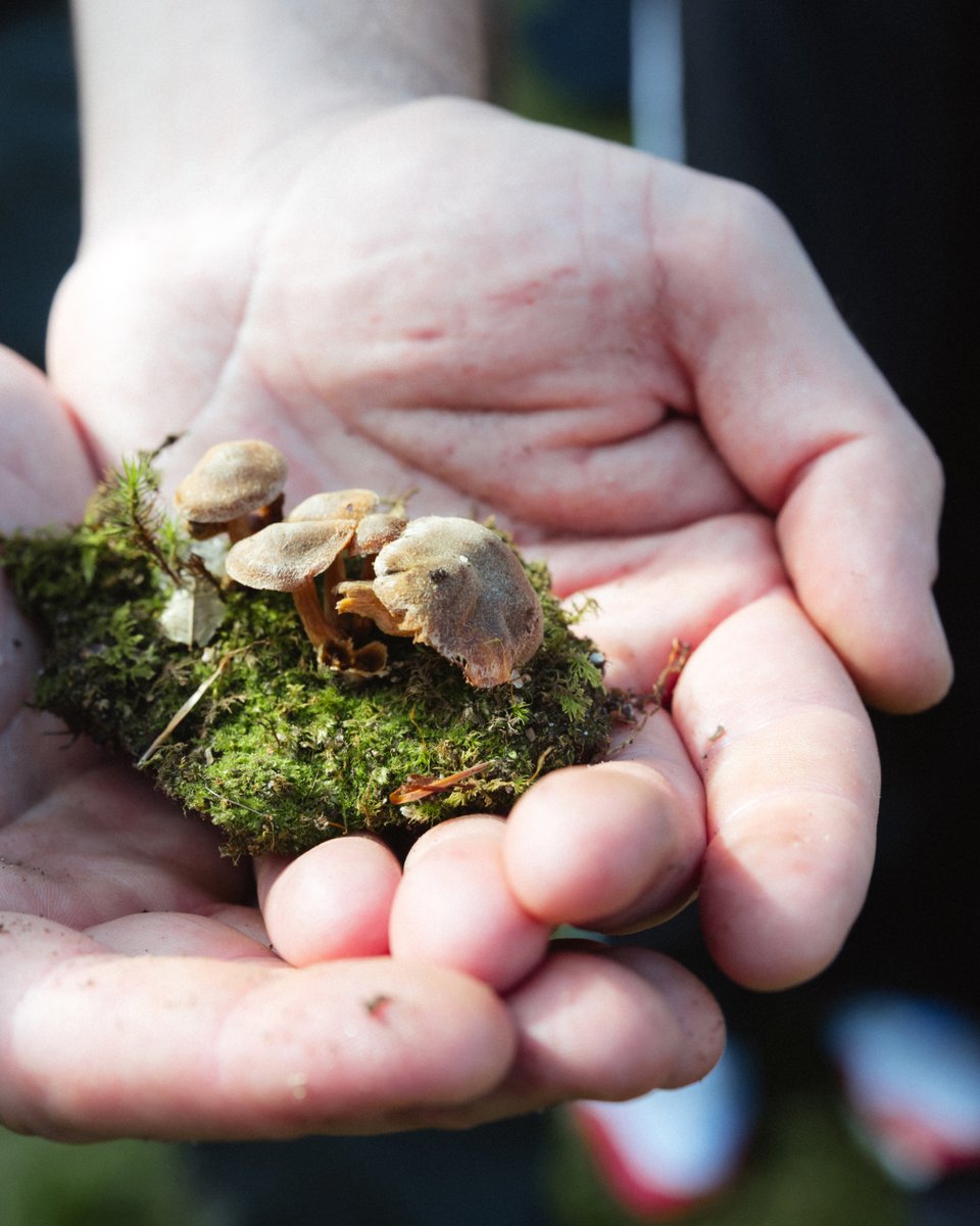 base's tweet image. take me back to BaseCamp