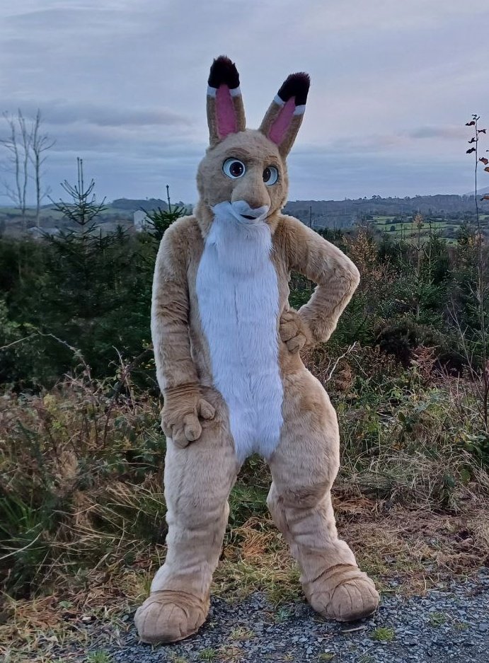 JarlathHare's tweet image. Summer season officially ends here for this year. ☘️🌄

This hare wishes you all well this #AutumnEquinox. 🐾🍂🍁🍂🐾

🧵: @CassiusRed
📷: @Kitsuna_Wolf