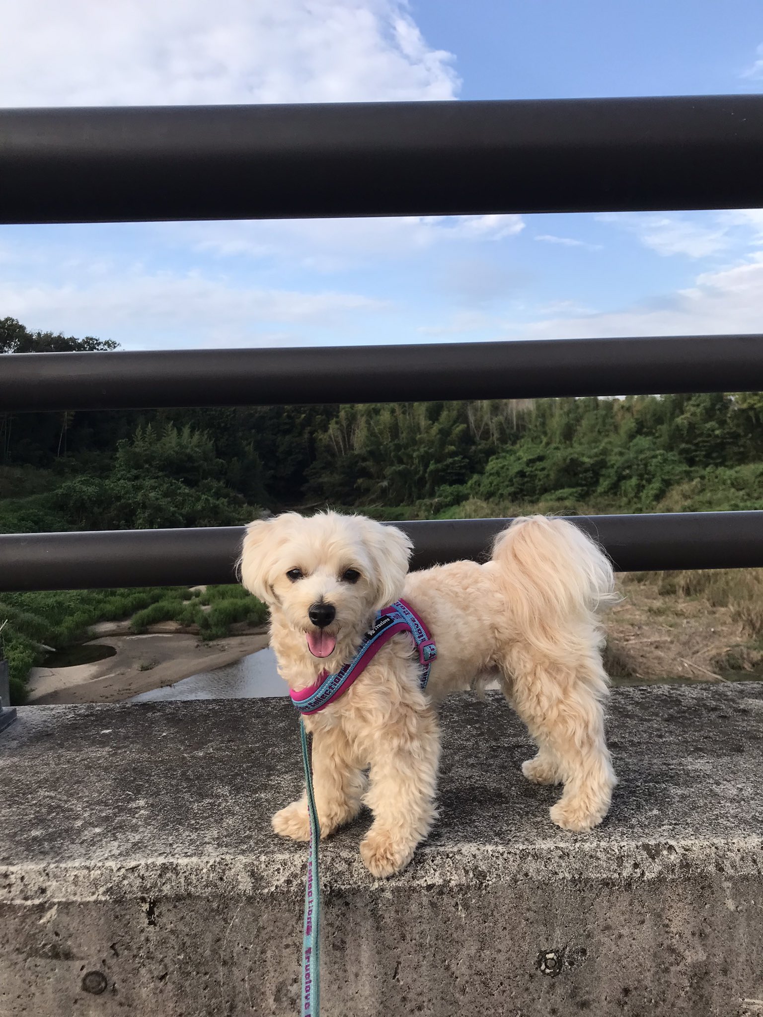 coco☻*ページ coco (@coco_n) / X