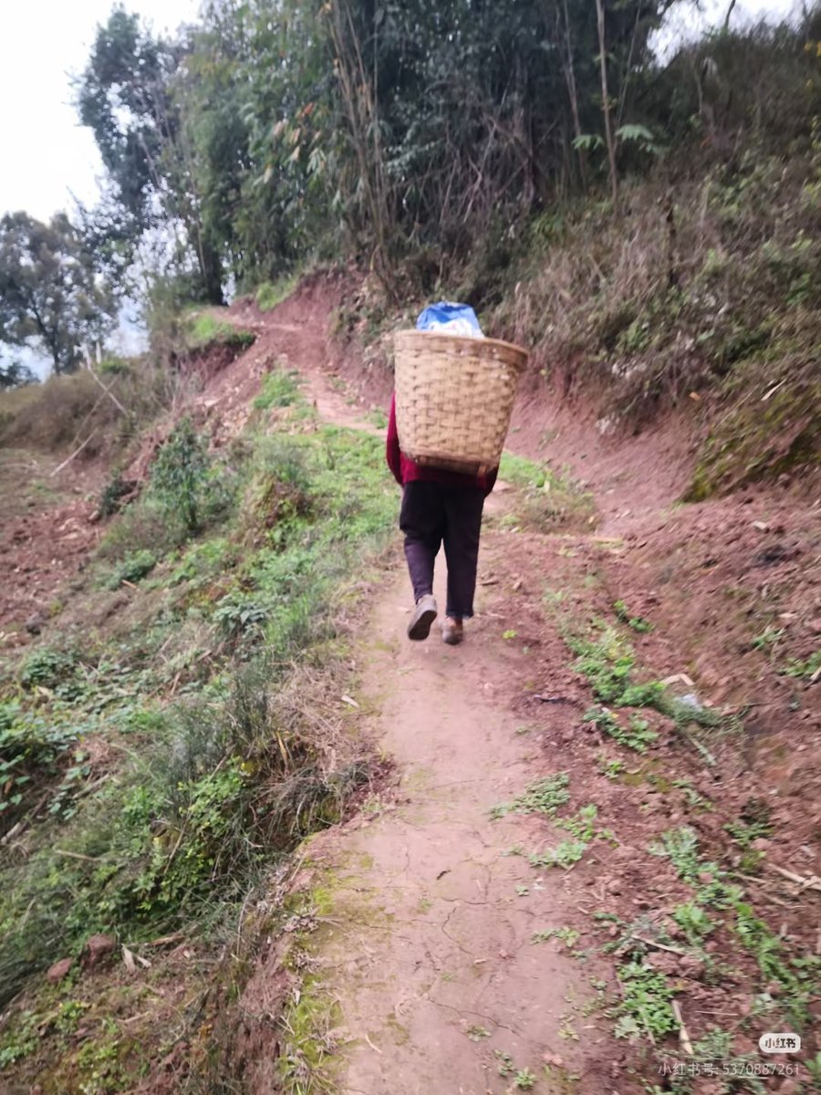 姜是姜子牙的姜 tweet media