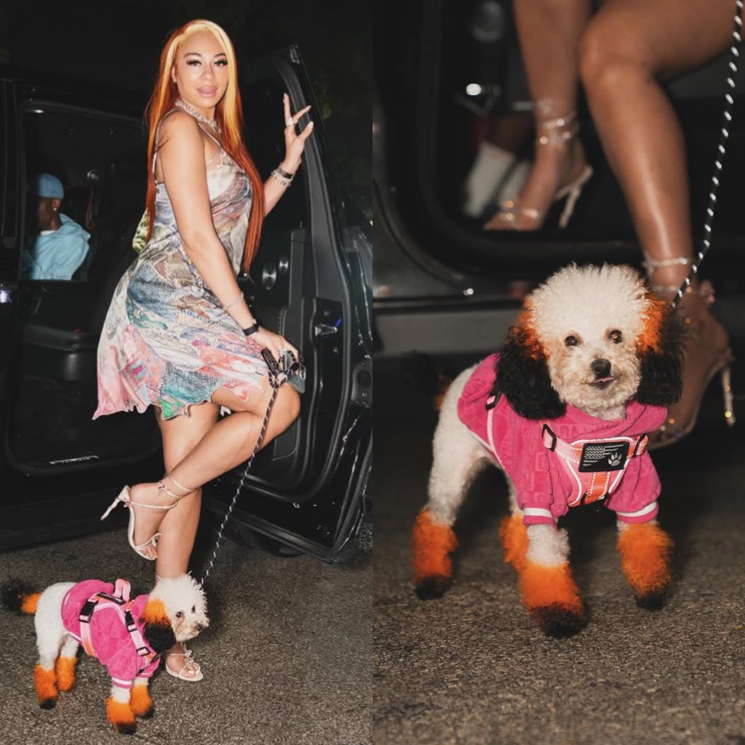 ZeusNetworkTea's tweet photo. Scotty &amp; Capri are serving LOOKS 😍😍 #BaddiesAfrica https://t.co/OmvCP0fDdD