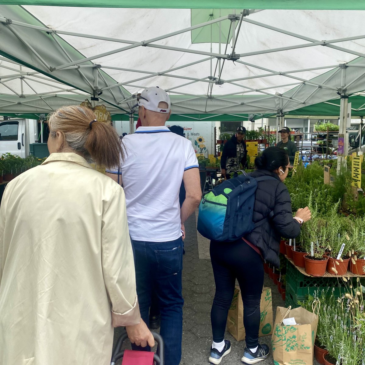 ProjectFIND_NYC's tweet image. 🍎 Our older adults from the Coffeehouse OlAC had a blast on the Greenmarket Stroll! Fresh goodies, fresh air, and lots of smiles 😄💛

Check out more of the fun activities at our center here: projectfind.org/older_adult_ce…

#ProjectFIND #GreenmarketStroll #OlderAdults #CommunityFun