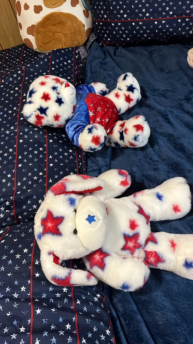 mistytuckergray's tweet photo. bought an american themed bed set because it reminds me of firecracker #supportivewife https://t.co/W9fR5qPfD5