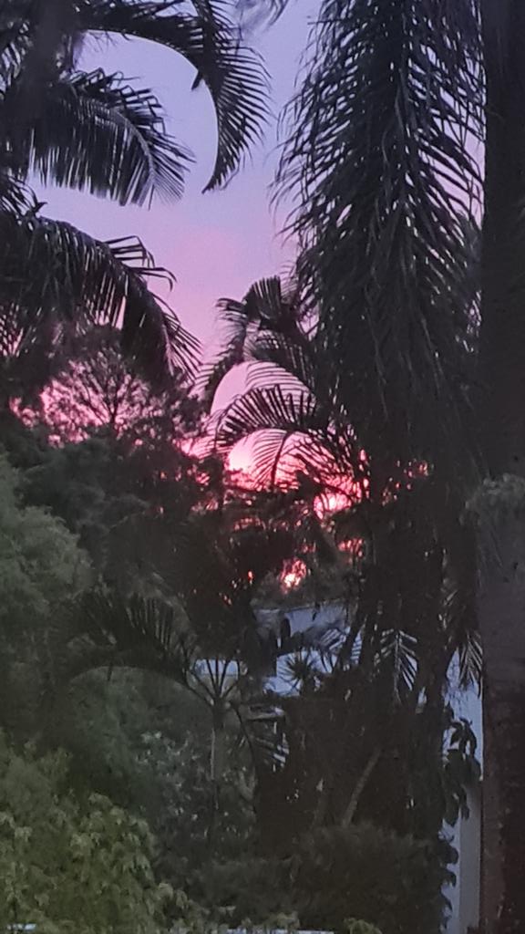 Crepúsculo