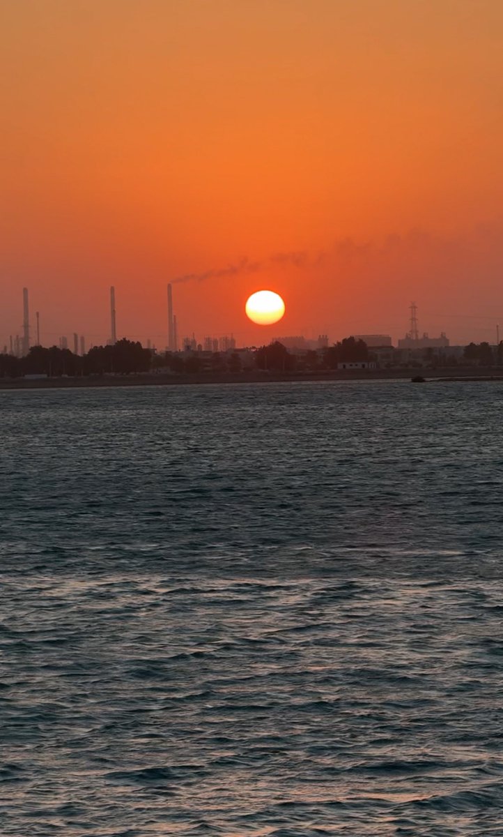 خريجة لغة صينية 🇨🇳
مُعلمة 👩‍🏫
رسامة 🎨
انسانه متجددة دائماً، استقبل كل يوم كفرصة جديدة  🤍