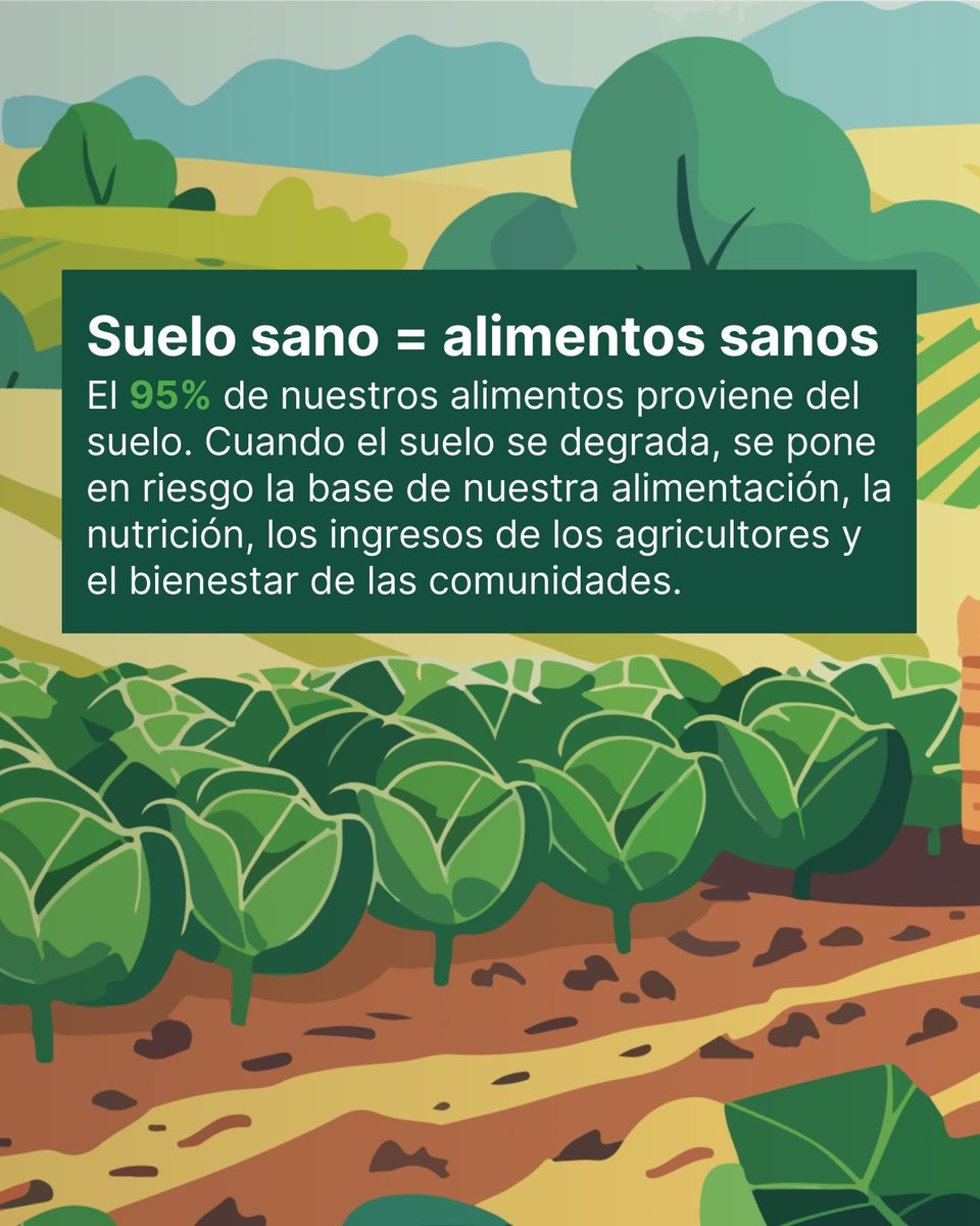 CIFOR-ICRAF Latinoamérica y Caribe tweet media