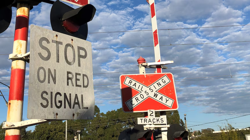 Robert Dow tweet media