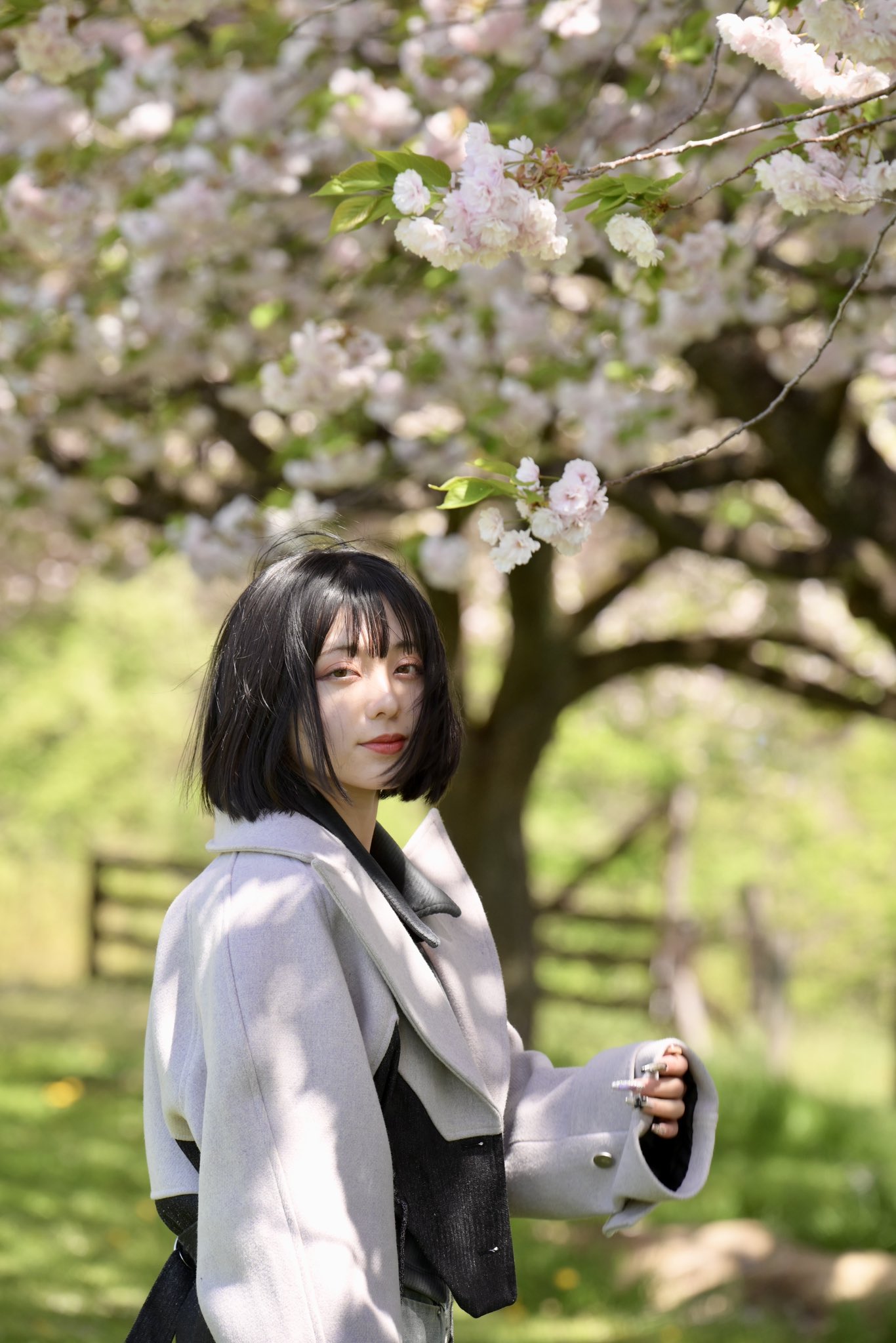 Sakura on X: 