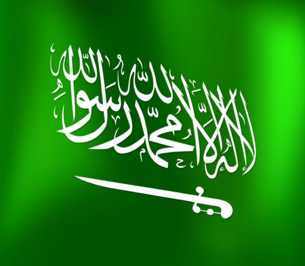 اخو ساره 🇸🇦 tweet media