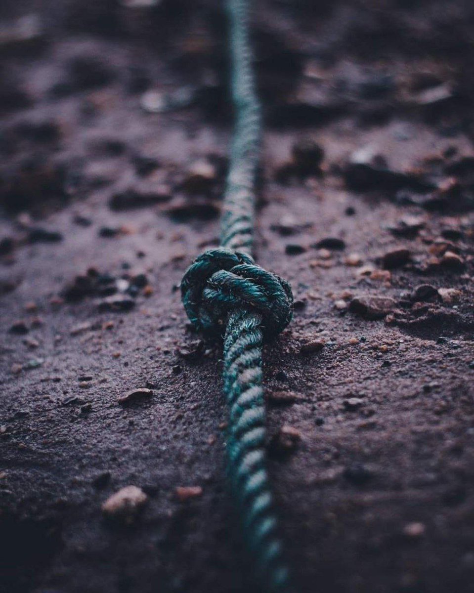 ”حَوقِلوا.. فوالله ما فُكَّت العُقَد بِمثلها.”