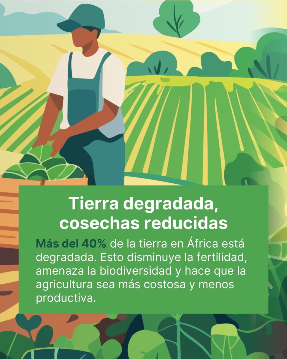 CIFOR-ICRAF Latinoamérica y Caribe tweet media