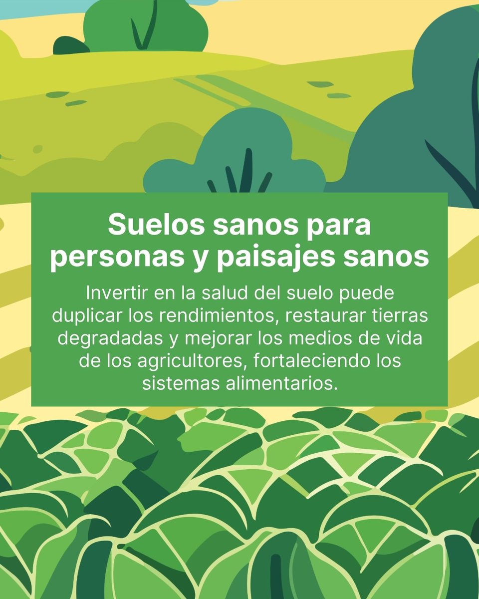 CIFOR-ICRAF Latinoamérica y Caribe tweet media